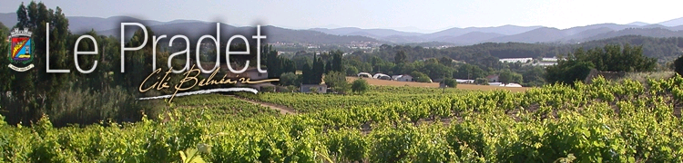 Le Pradet: wijngaarden in het achterland